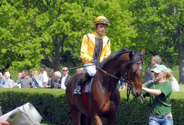 Neue Bult Mai09   061.jpg